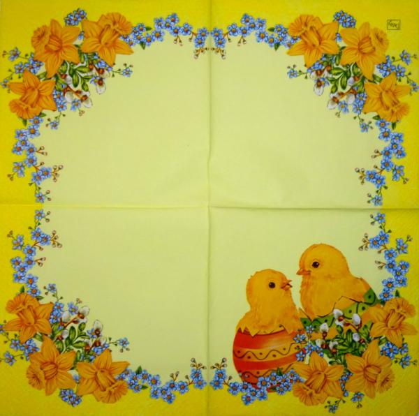 049 Küken - 3-lagig - (49)